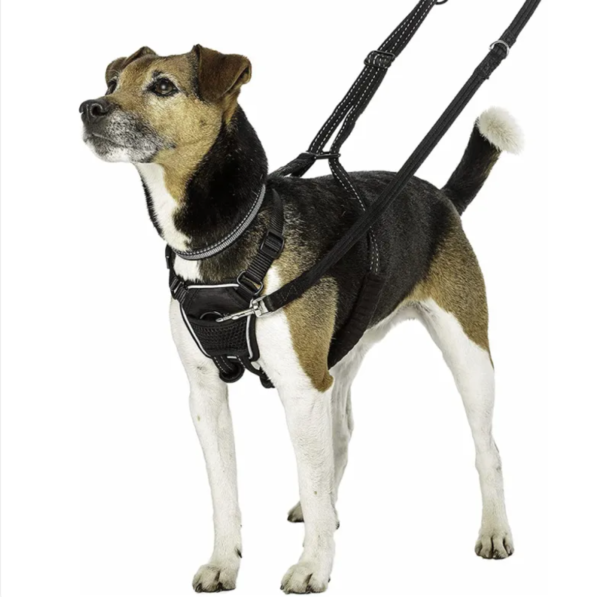 No-Pull Outdoor Dog Harness | Reflective | Front Clip | Trek Mutz