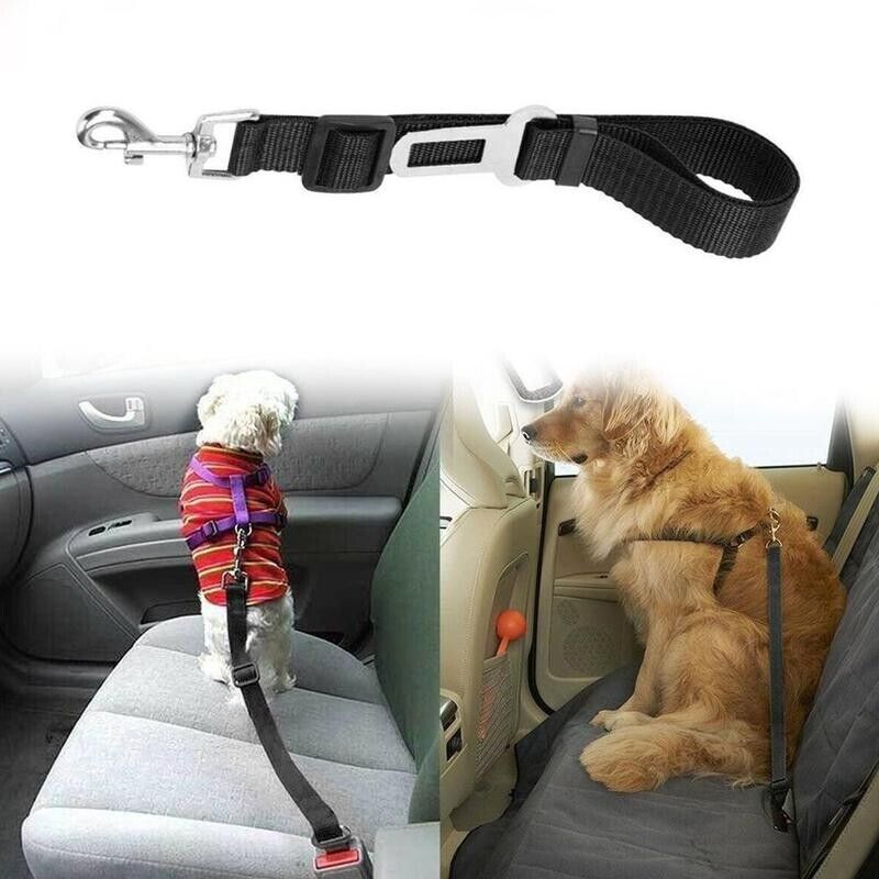 Dog Car Safety Harness | Seat Belt Clip | 2 Pack | Trek Mutz