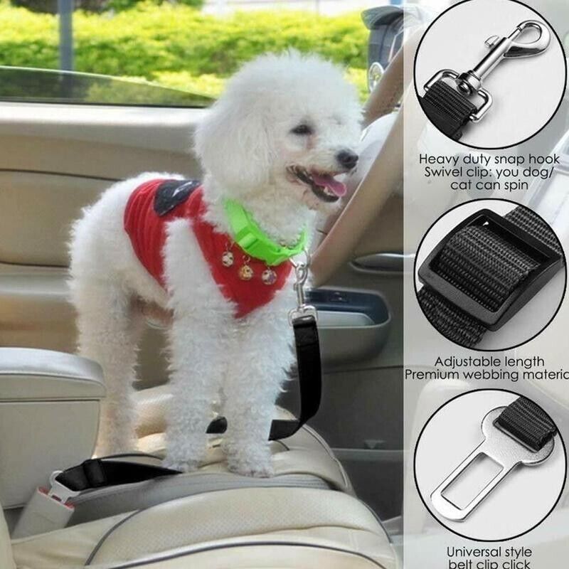 Dog Car Safety Harness | Seat Belt Clip | 2 Pack | Trek Mutz