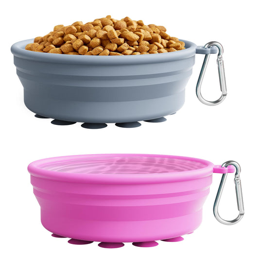Collapsible Silicone Travel Dog Bowl | Van Life Essential