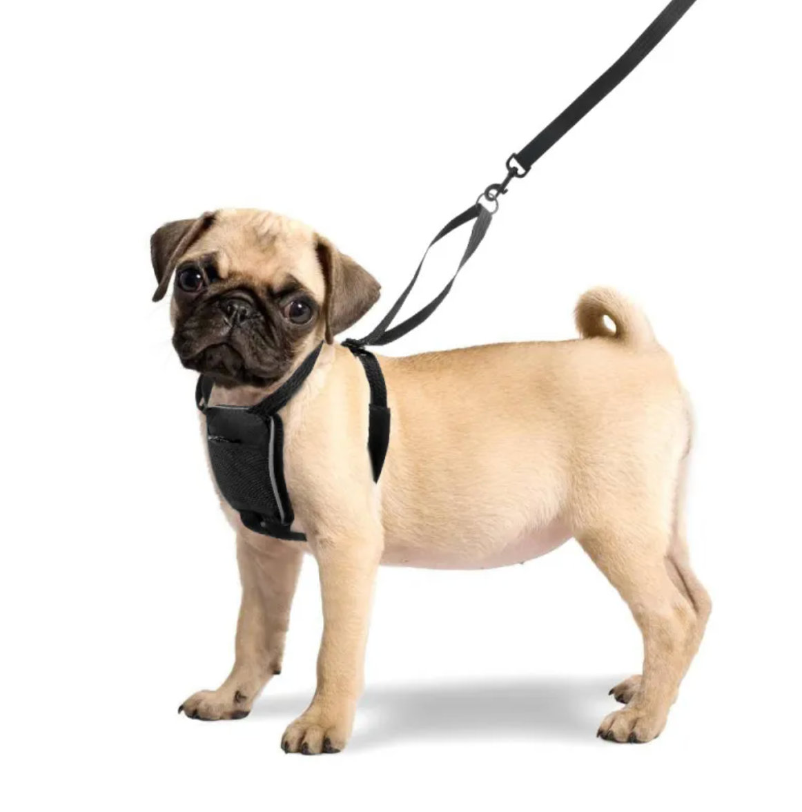 No-Pull Outdoor Dog Harness | Reflective | Front Clip | Trek Mutz